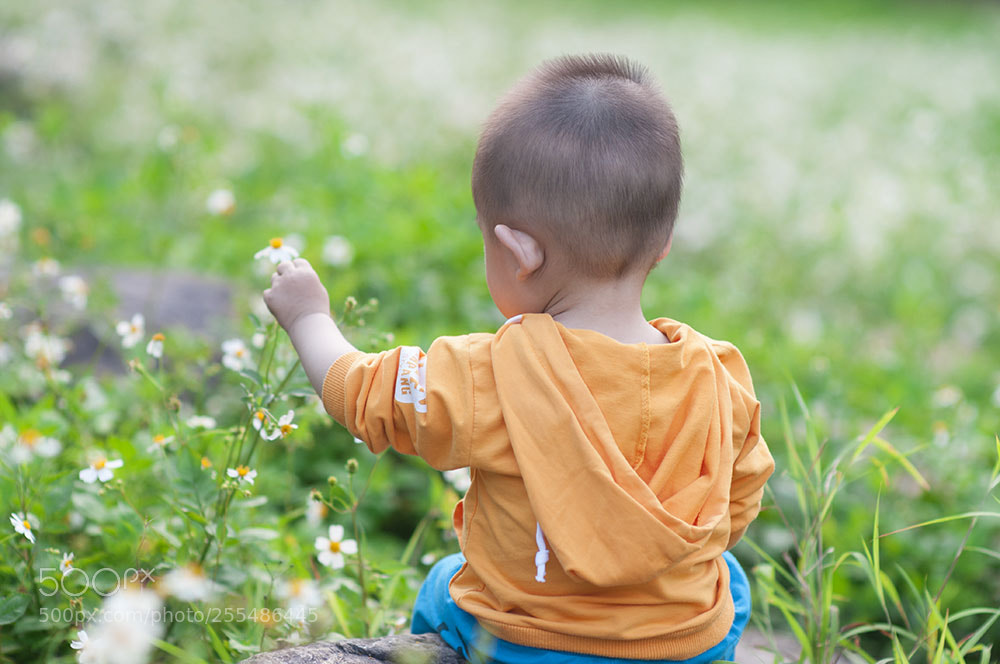 Nikon D300 sample photo. Flowers and the little photography