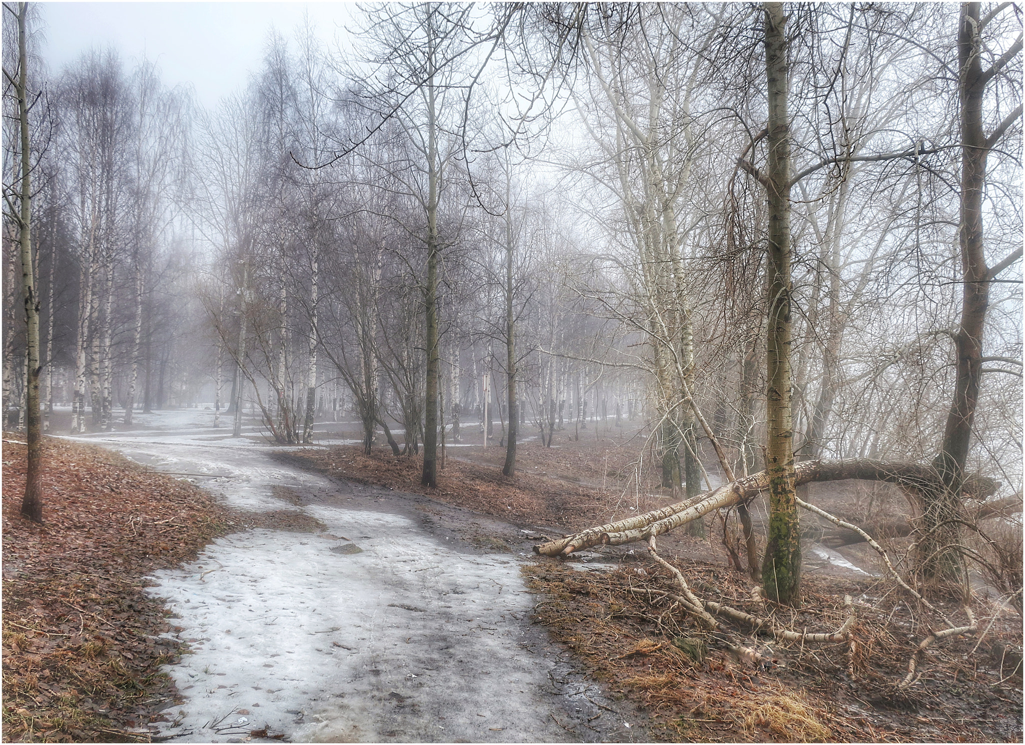 Canon PowerShot G9 X Mark II sample photo. Весна photography