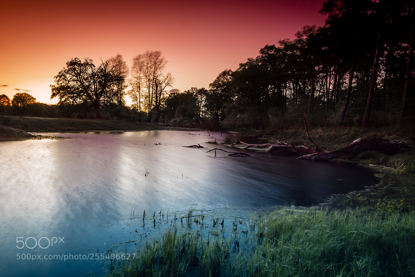 Canon EOS-1D Mark III sample photo. Sunset in rogalinek photography