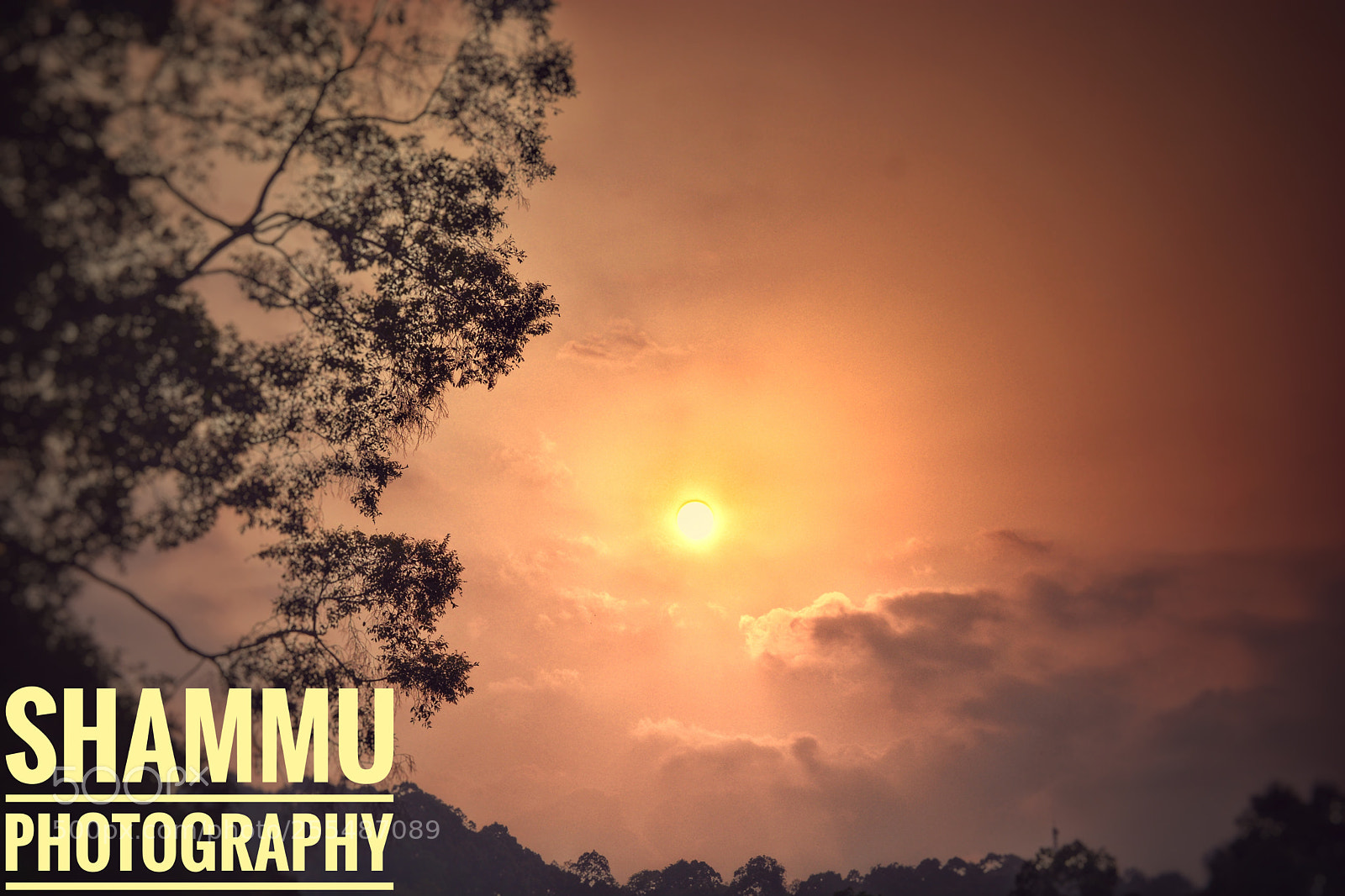 Nikon D5200 sample photo. Untitled photography