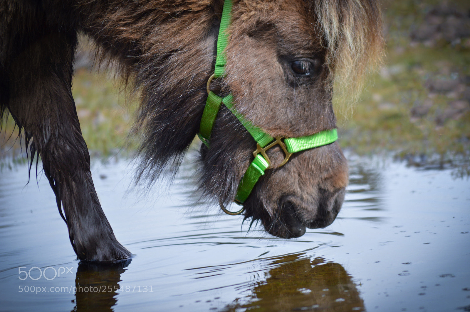 Nikon D3200 sample photo. Water photography