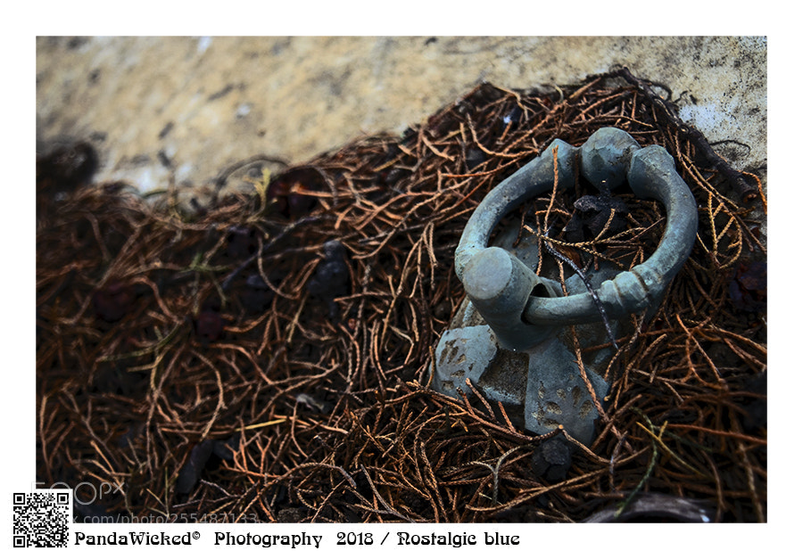 Nikon D5300 sample photo. Nostalgic blue photography