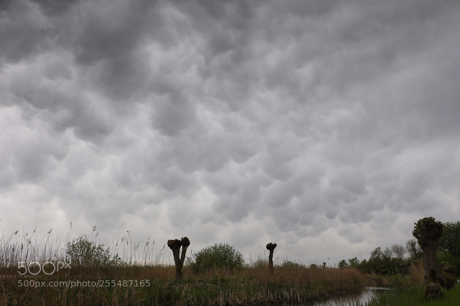 Canon EOS 760D (EOS Rebel T6s / EOS 8000D) sample photo. Cloud photography