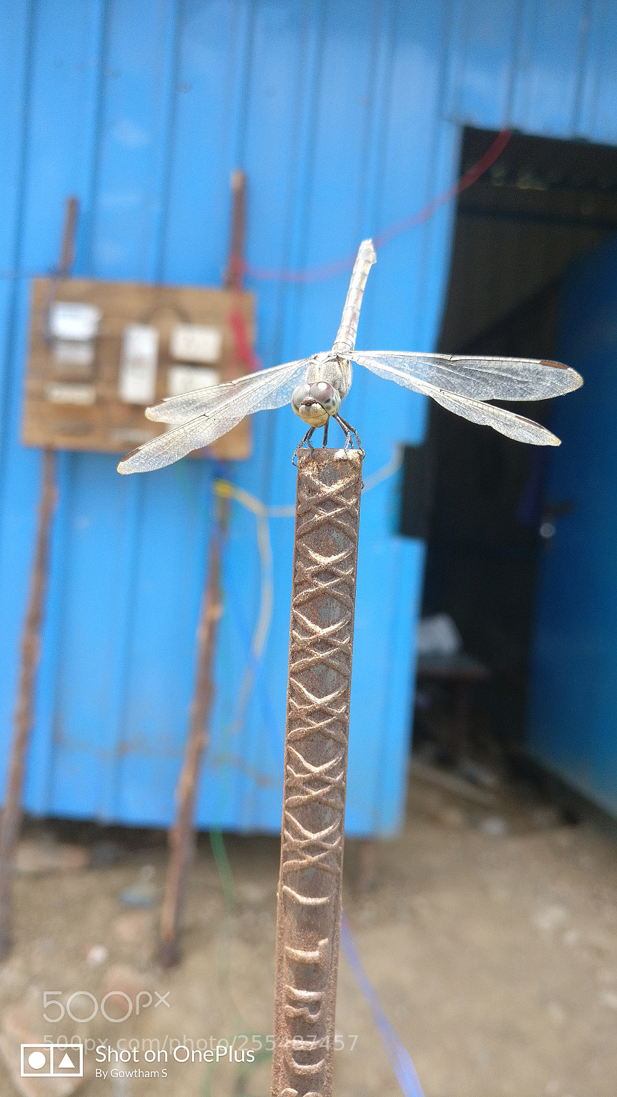 OnePlus A3003 sample photo. Untitled photography