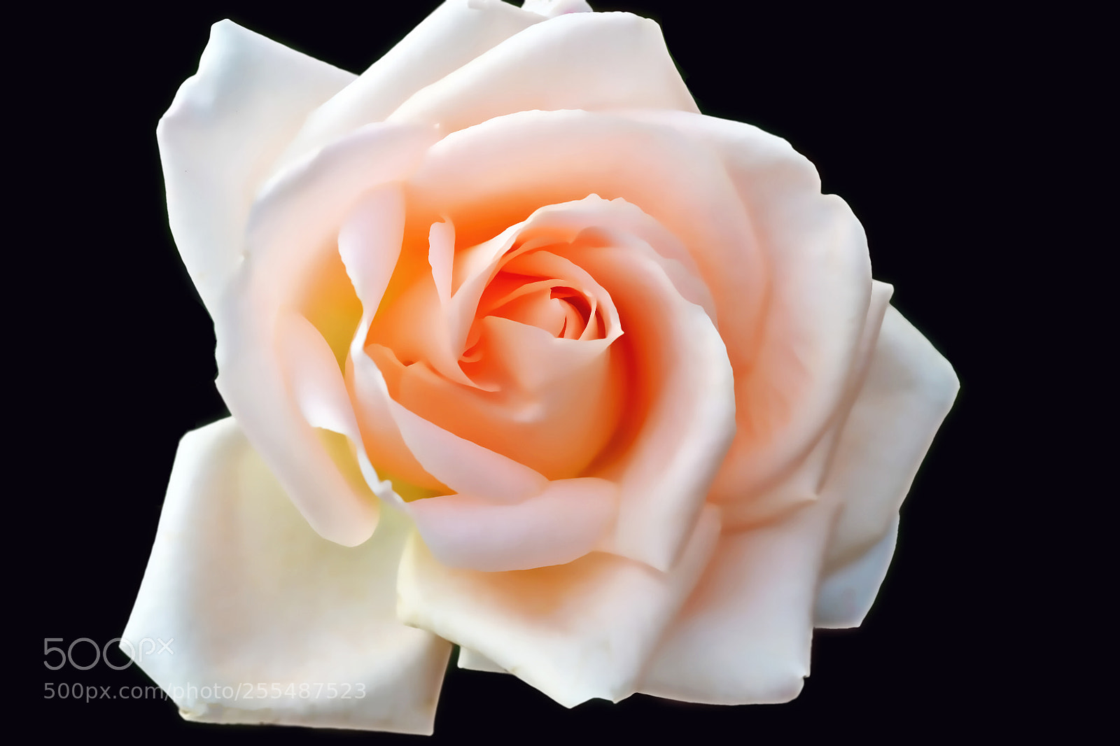 Nikon D3100 sample photo. Beauty photography