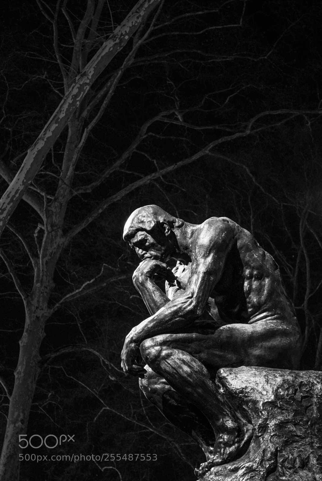 Nikon D60 sample photo. The thinker photography