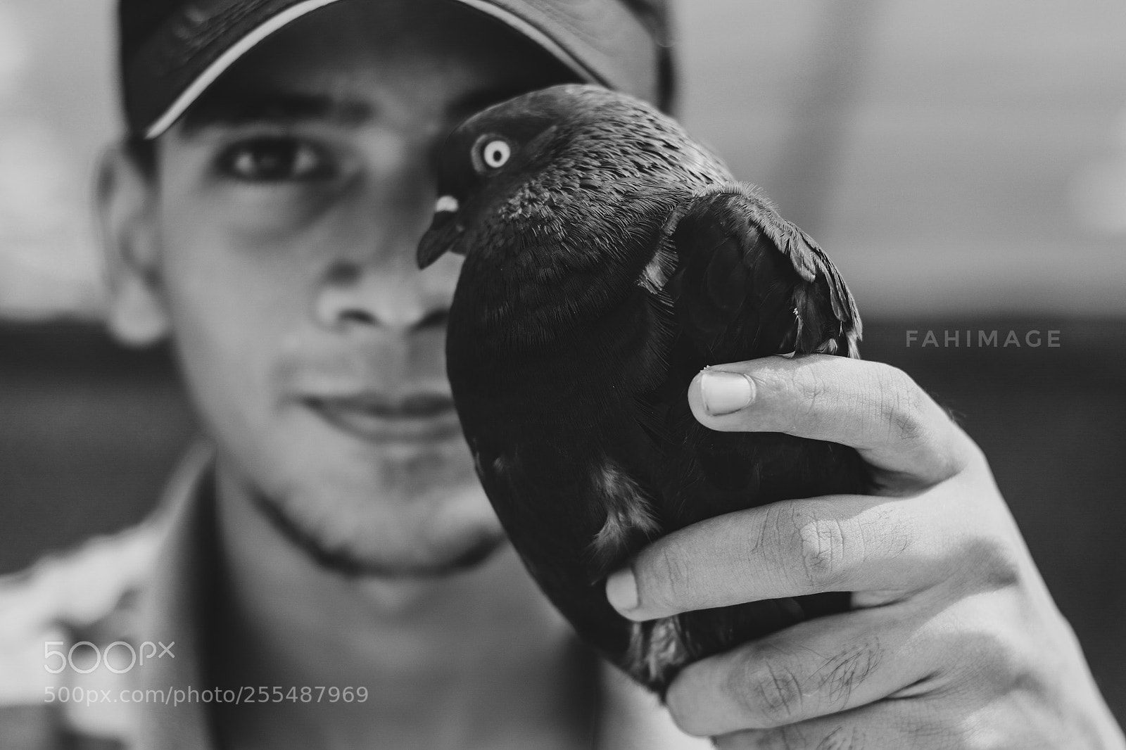 Canon EOS 77D (EOS 9000D / EOS 770D) sample photo. Untitled photography