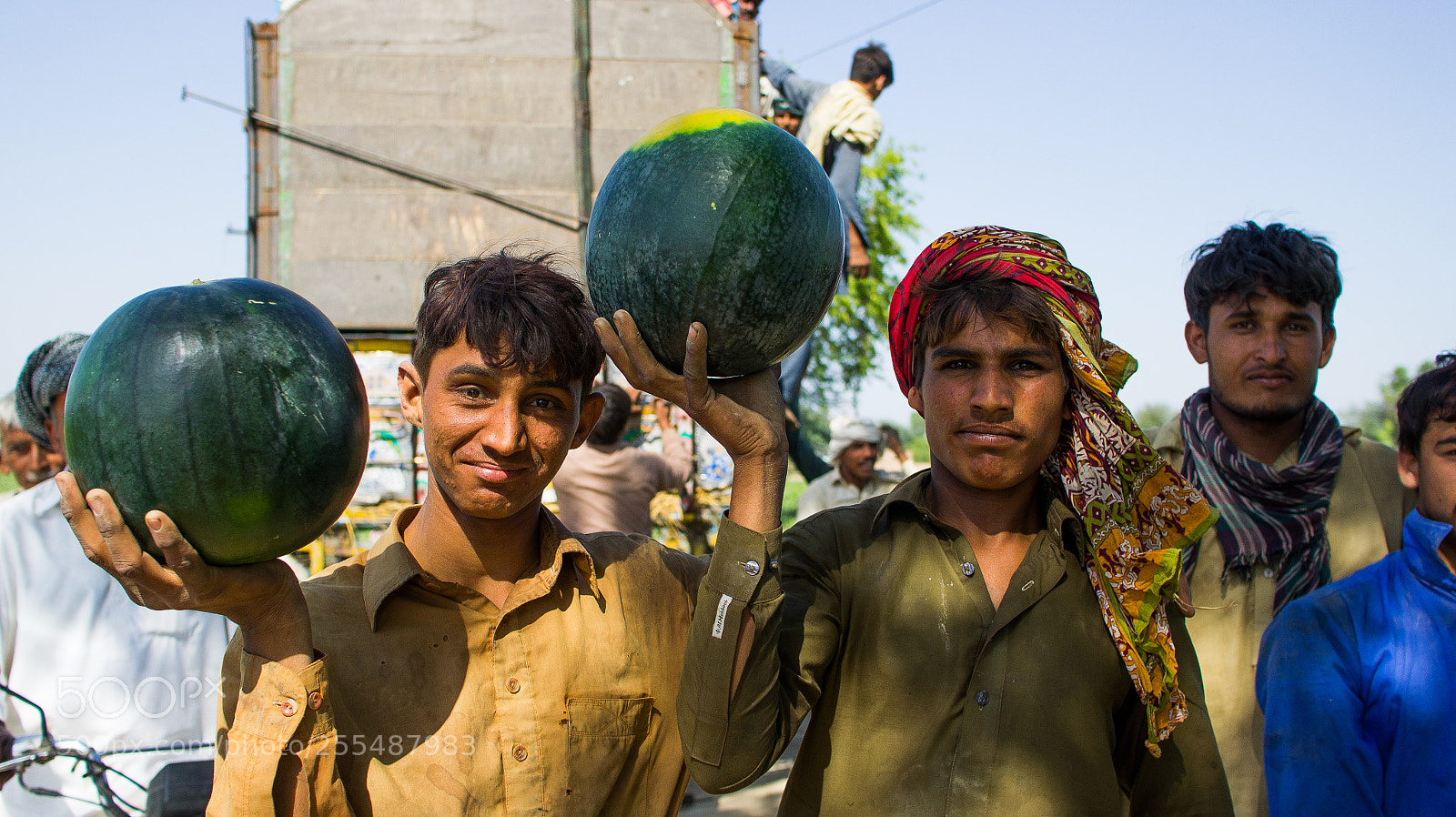 Sony Alpha NEX-5 sample photo. Watermelon harvest photography