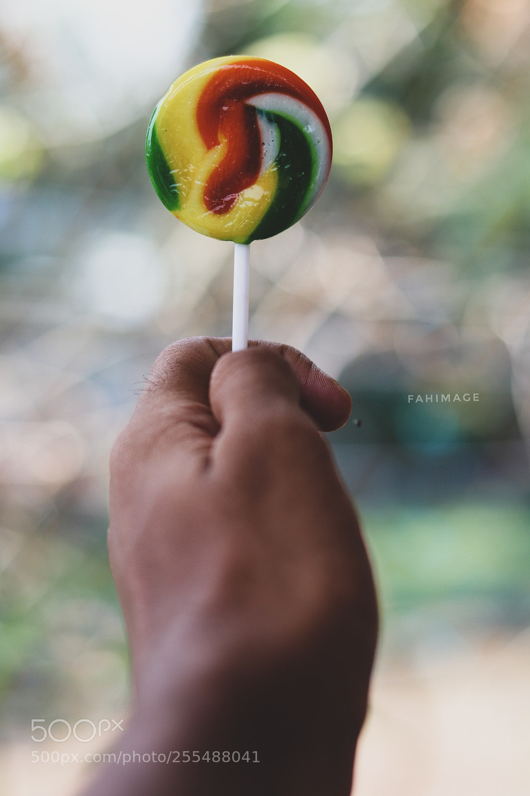 Canon EOS 77D (EOS 9000D / EOS 770D) sample photo. Untitled photography