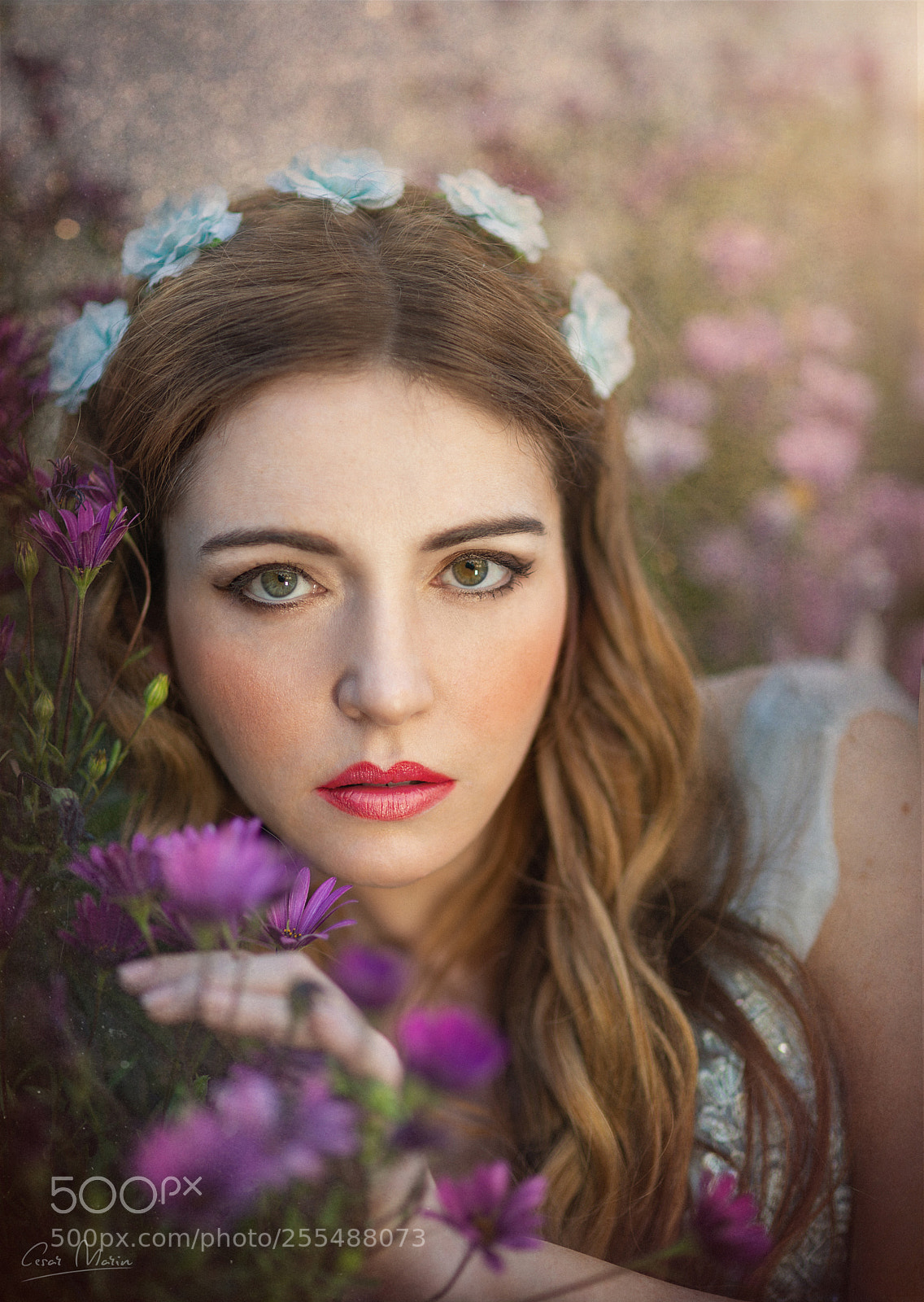 Nikon D800 sample photo. Primavera photography