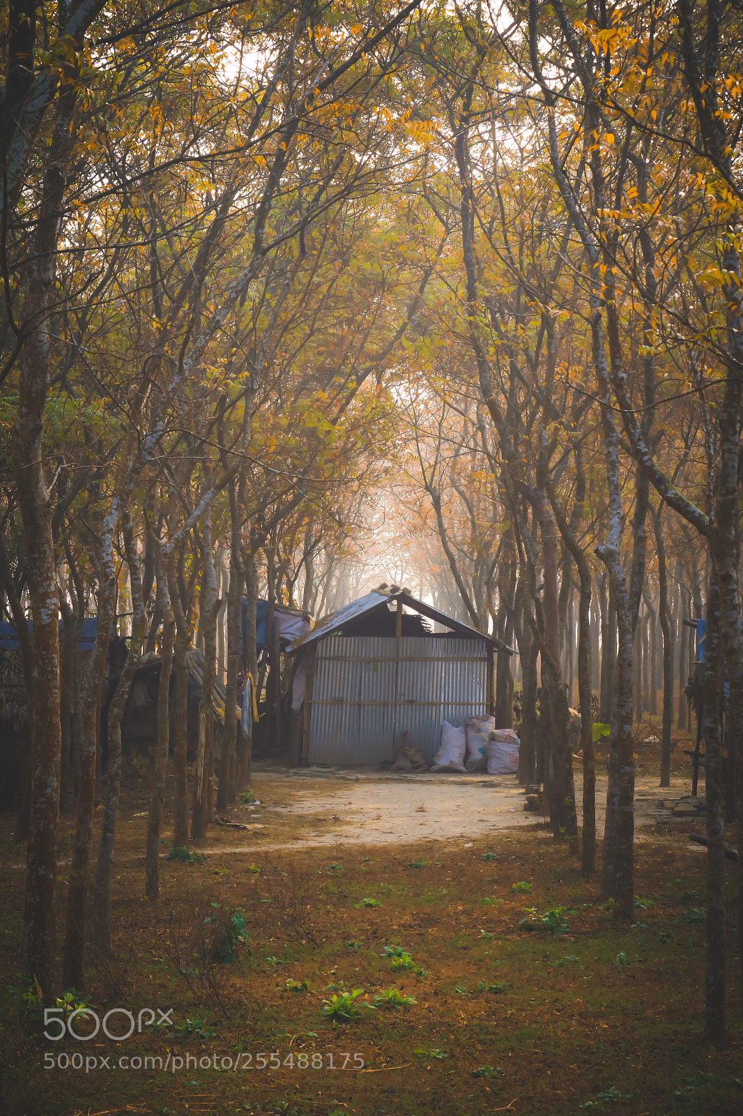 Canon EOS 750D (EOS Rebel T6i / EOS Kiss X8i) sample photo. Abandoned photography