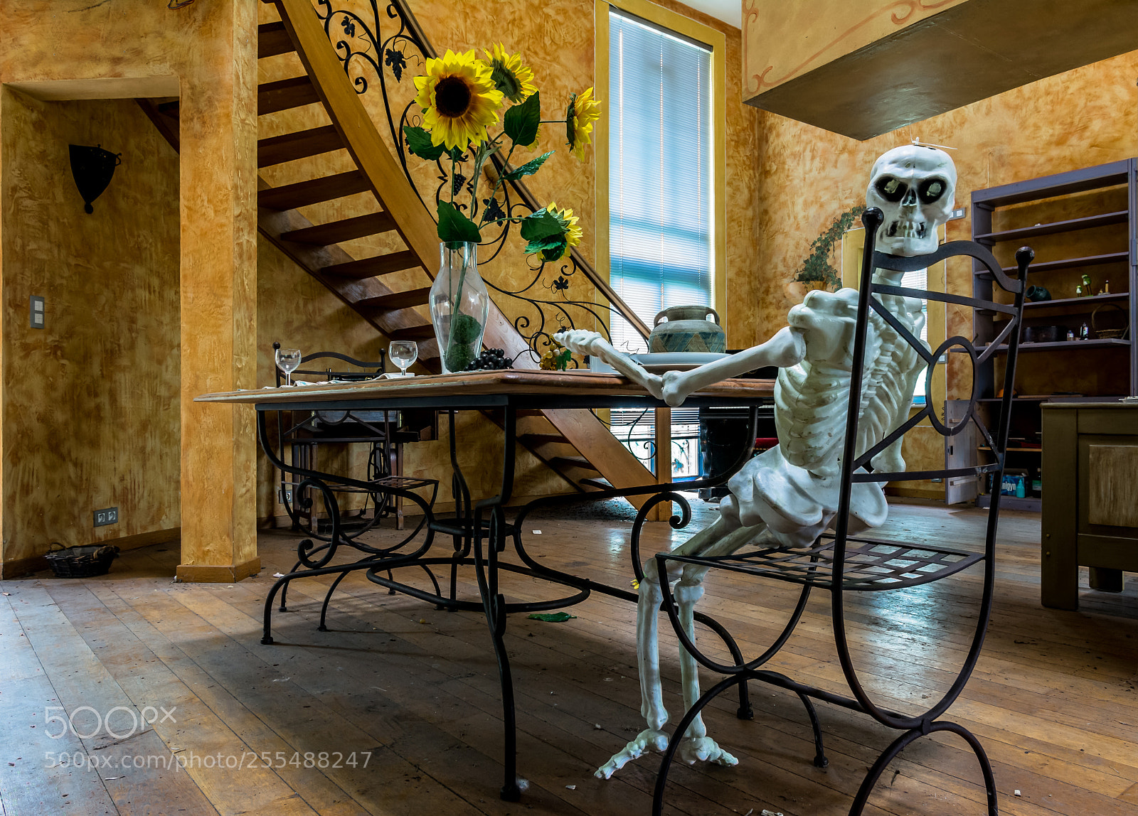 Nikon D5200 sample photo. Dinner is served photography