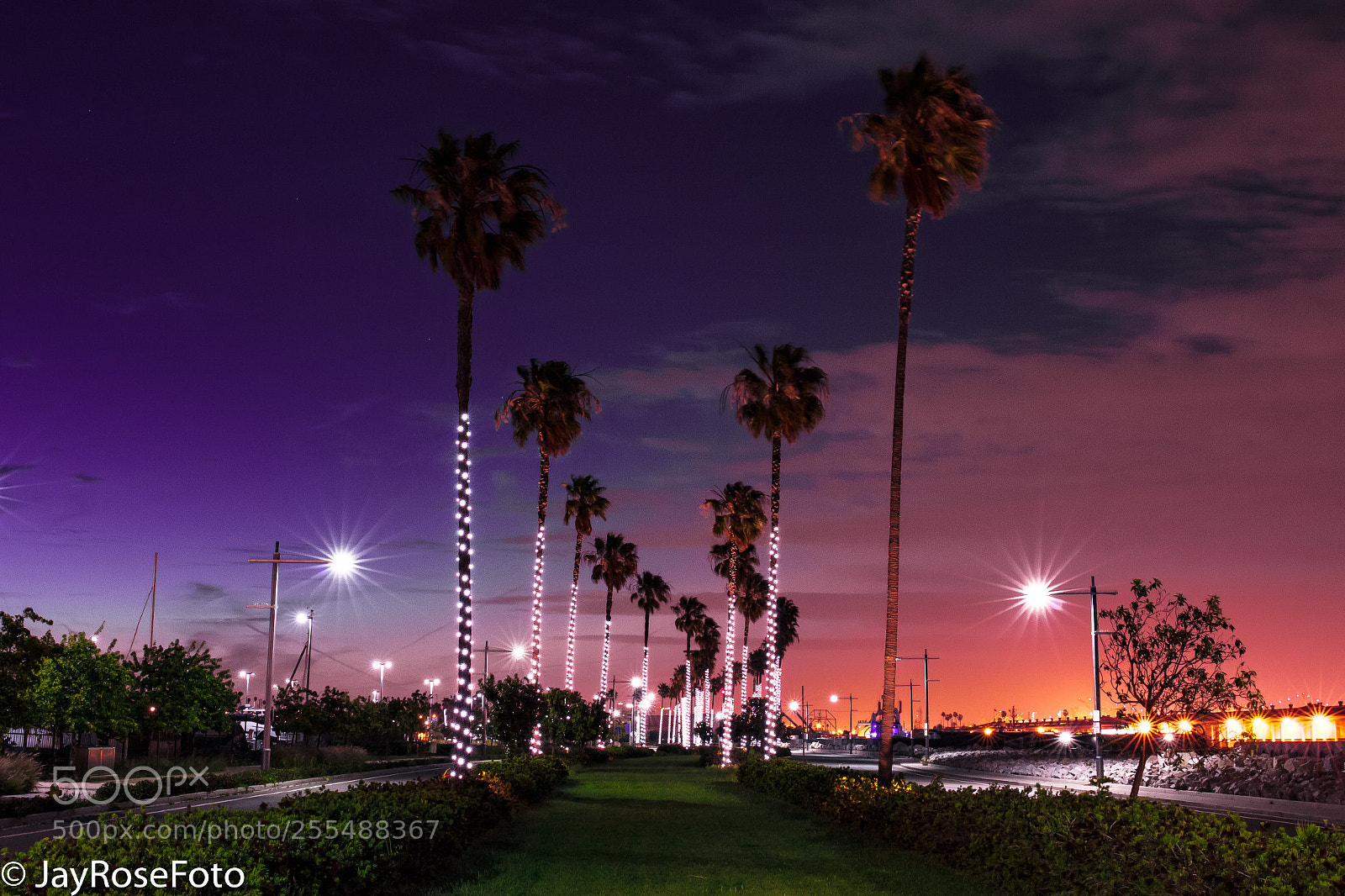 Canon EOS 5DS R sample photo. Lit path photography