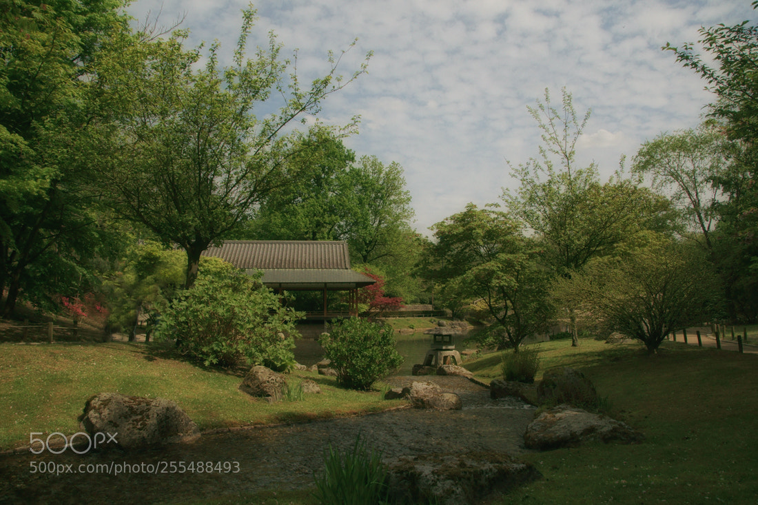 Sony ILCA-77M2 sample photo. Japanese garden photography
