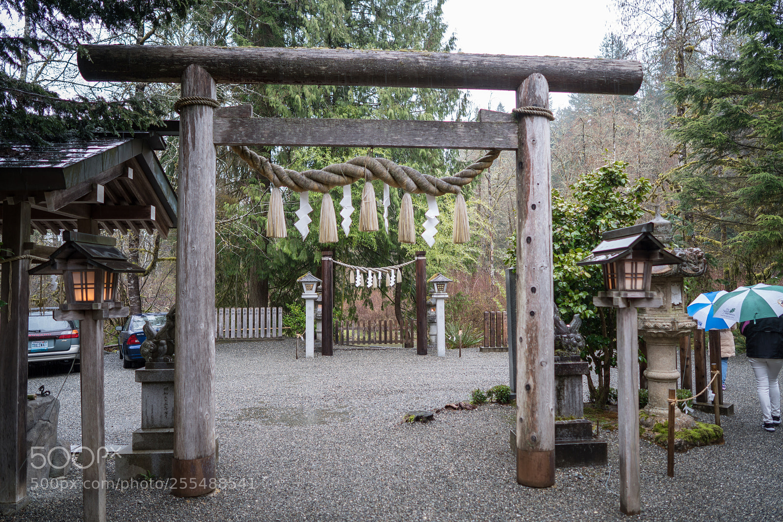 Sony a7R III sample photo. Tsubaki okami yashiro, a photography