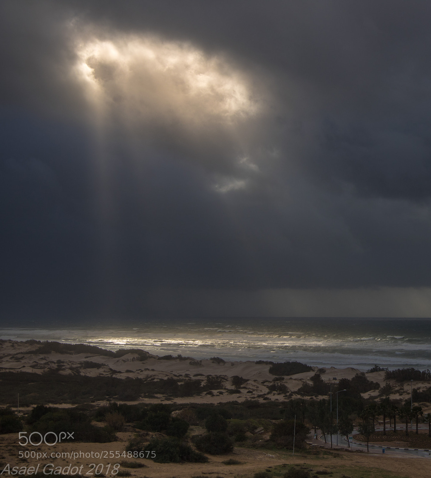 Canon EOS 760D (EOS Rebel T6s / EOS 8000D) sample photo. Rays of light photography