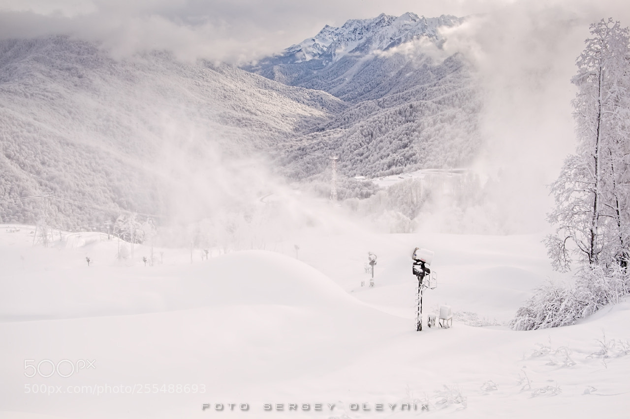 Canon EOS 5D Mark II sample photo. Winter's tale photography