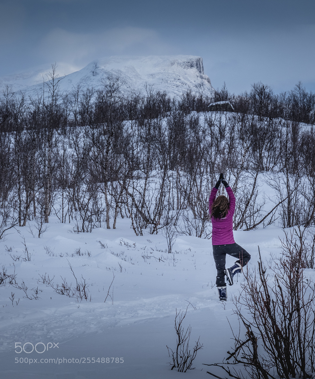 Canon EOS 80D sample photo. Scandinavian yoga - abisko photography