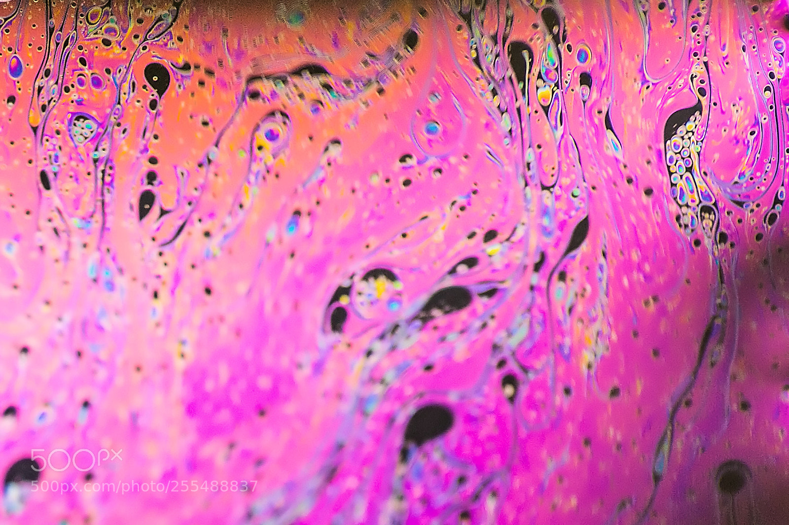 Canon EOS 6D sample photo. Seifenblasenhaut photography