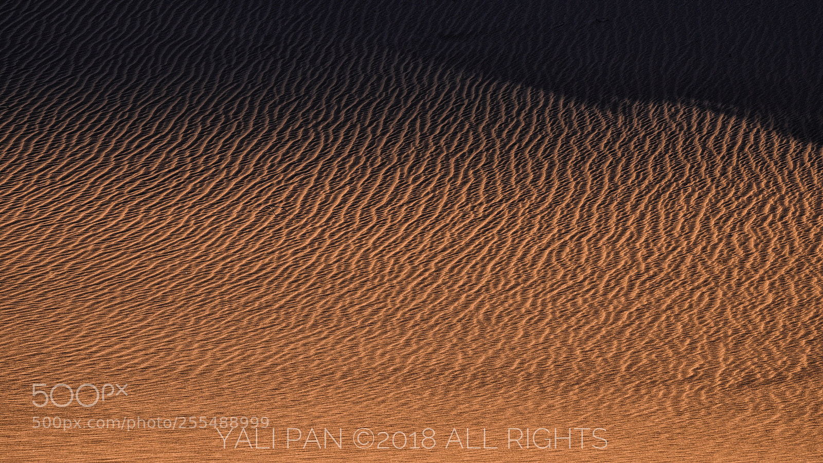 Sony a7R III sample photo. Golden ripples photography
