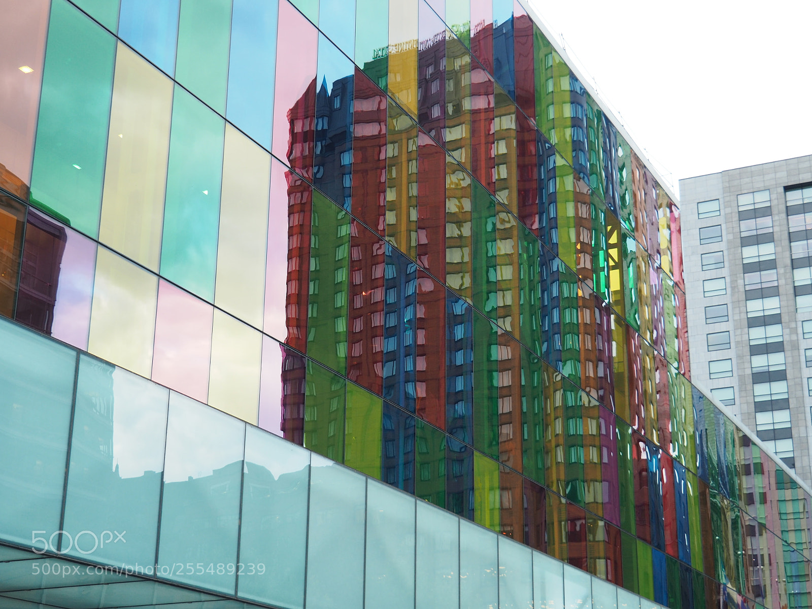 Olympus OM-D E-M5 II sample photo. Reflections photography