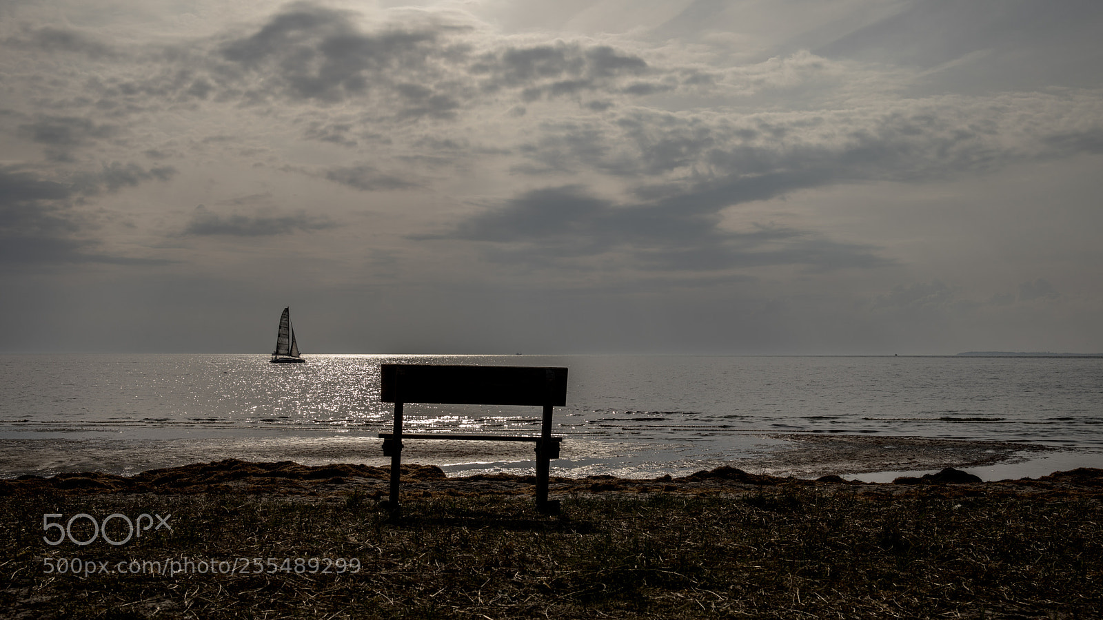 Canon EOS 5D Mark IV sample photo. The bench @ the beach photography