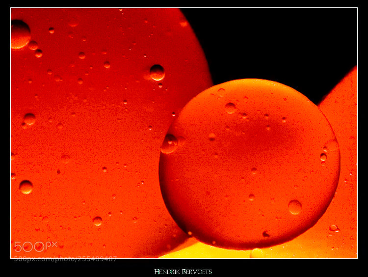 Nikon D300 sample photo. Lava light photography