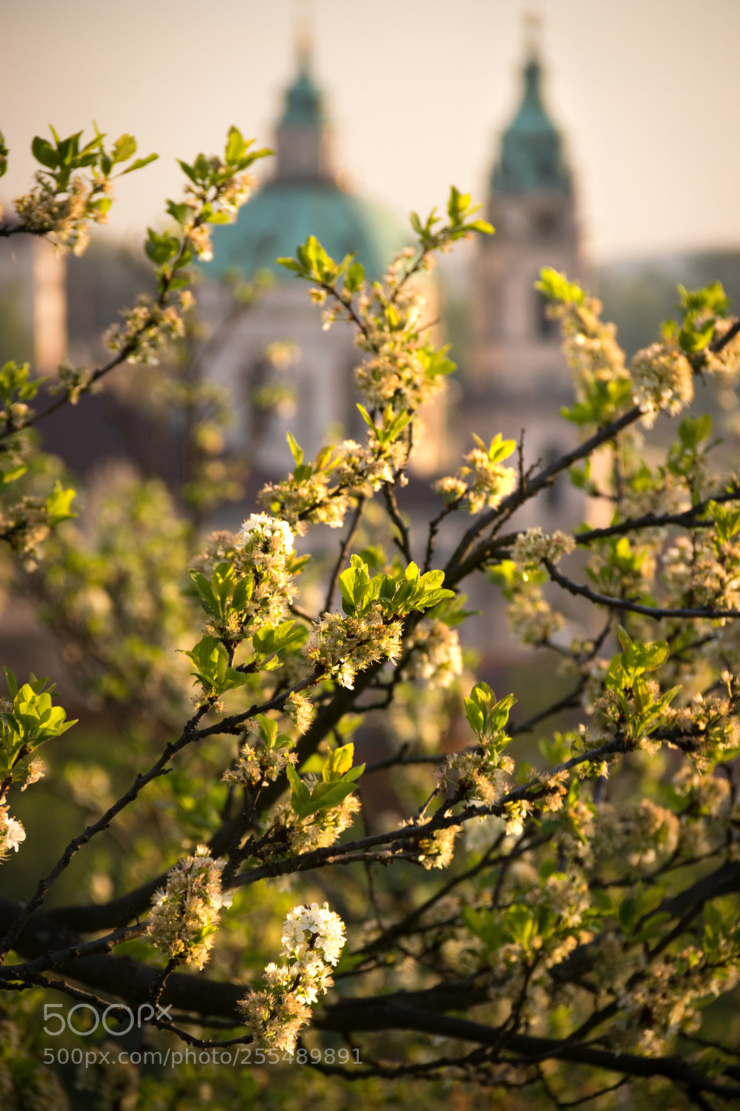 Canon EOS 80D sample photo. Spring by the cathedral photography
