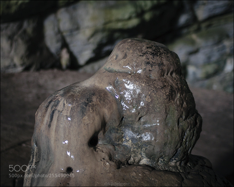 Canon EOS 40D sample photo. Gruta cacahuamilpa photography