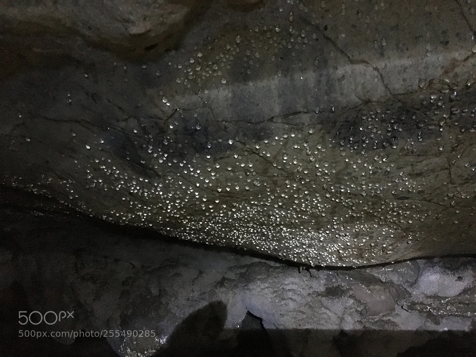 Apple iPhone 6s sample photo. Bcfb ebbedabcbc photography