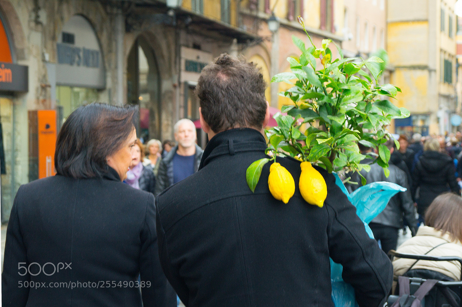 Sony SLT-A37 sample photo. Pisa, italy photography