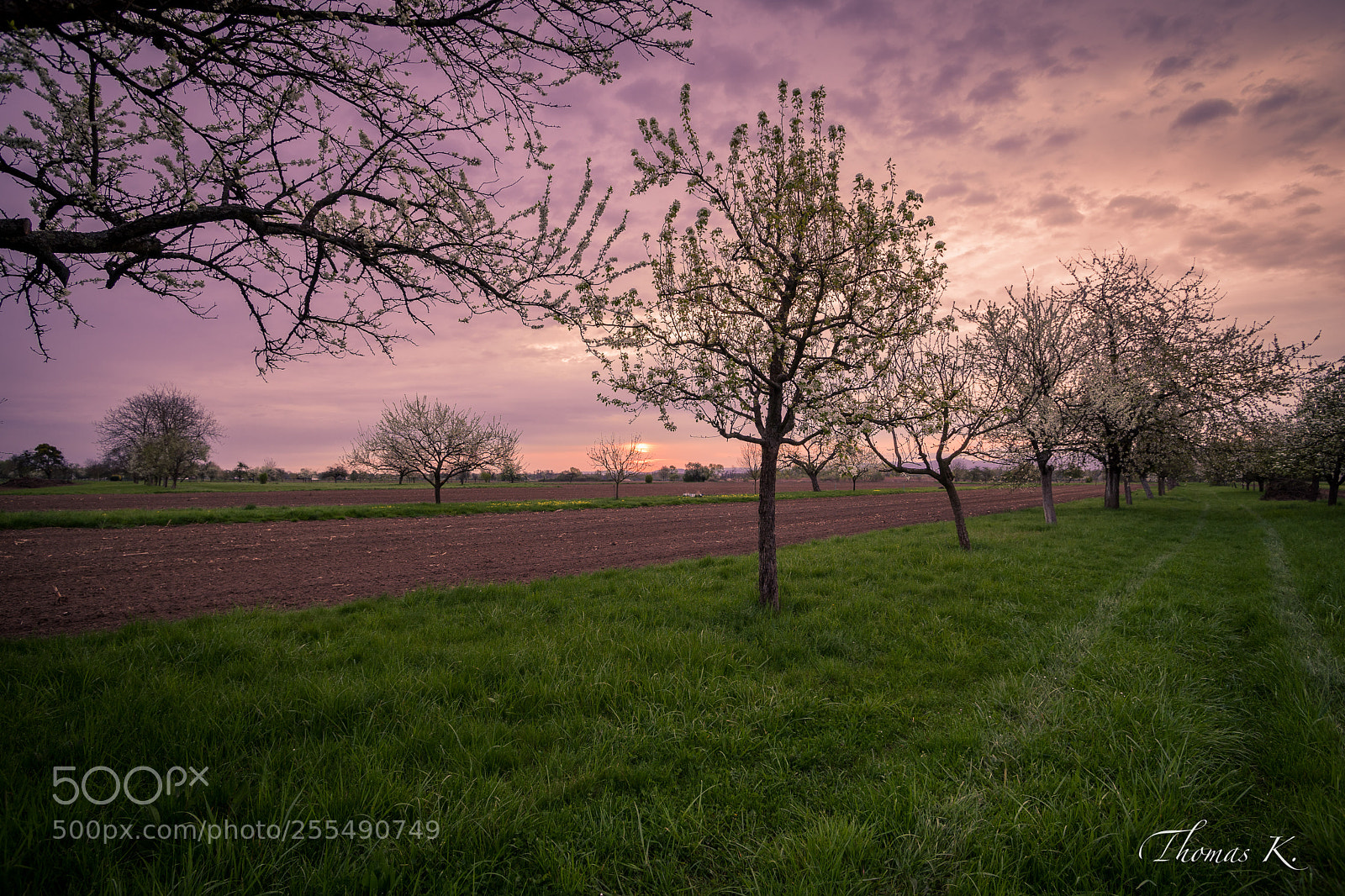 Sony a7 sample photo. One morning.... photography