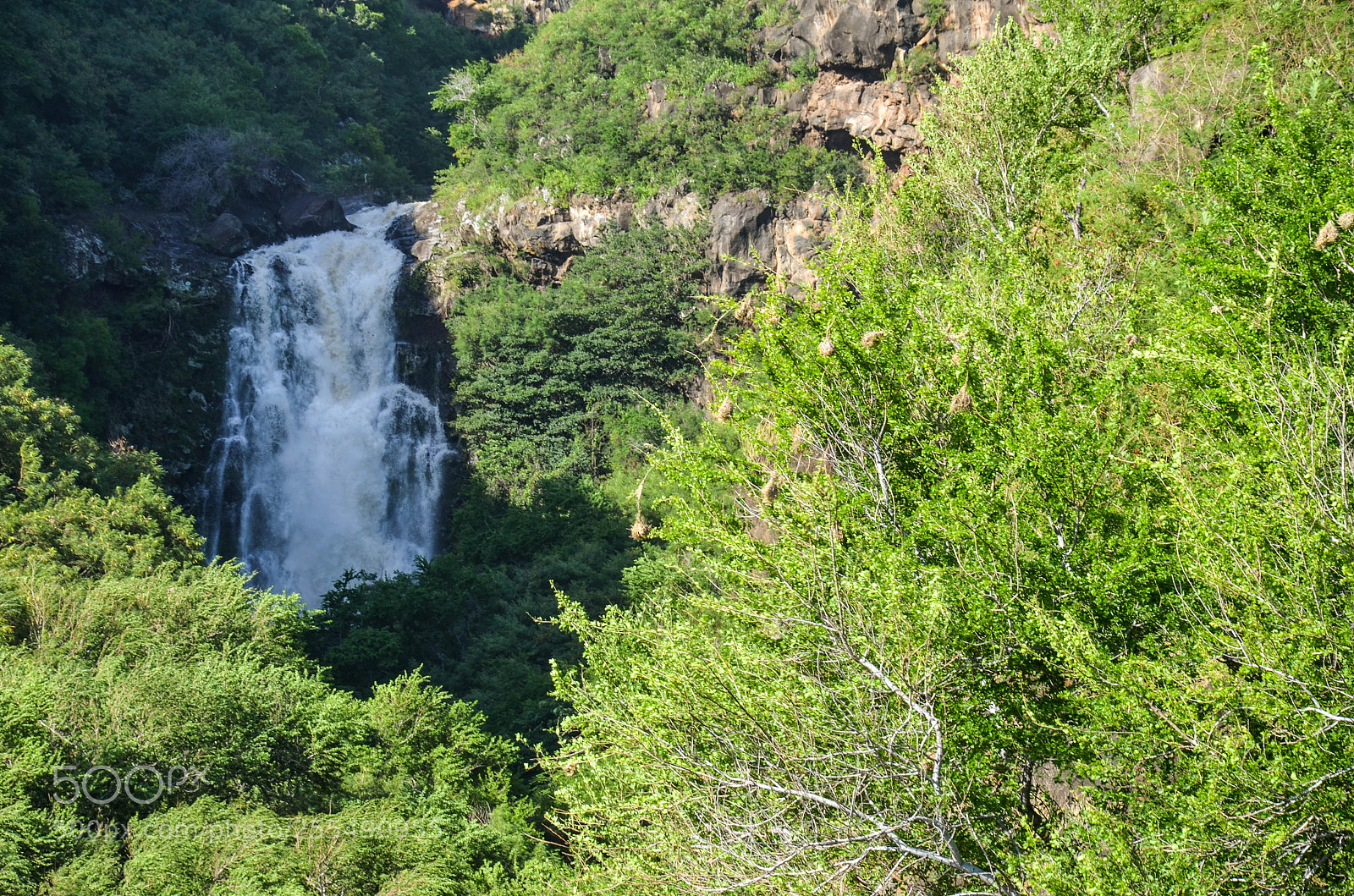 Nikon D5100 sample photo. Waterfall photography