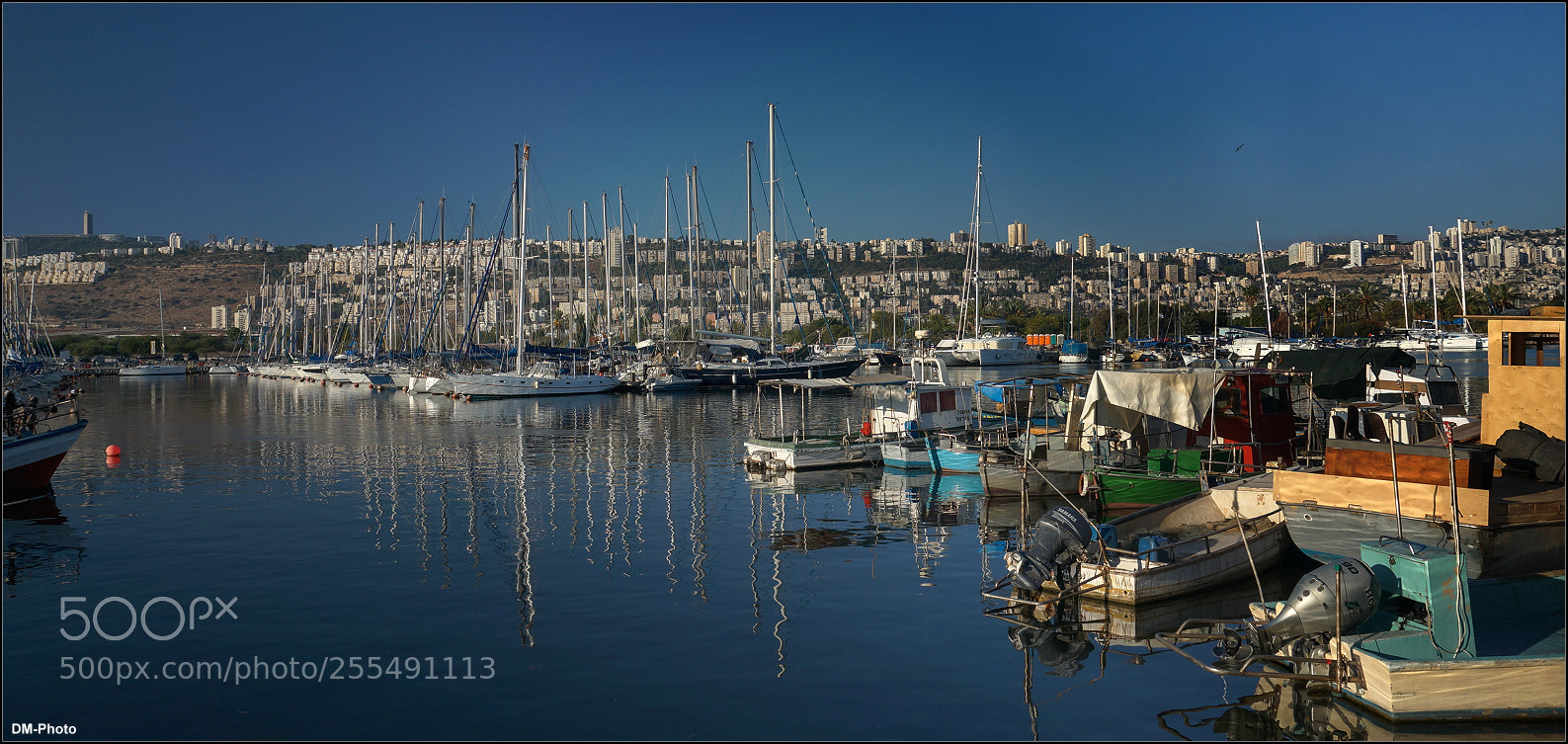 Sony Alpha NEX-6 sample photo. Panfg photography