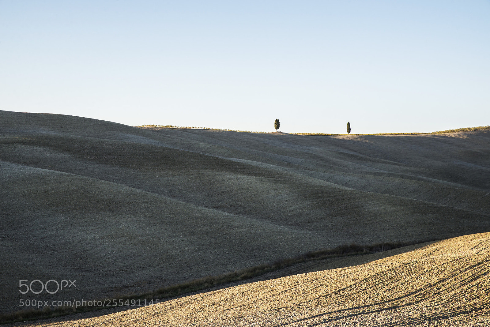 Nikon D610 sample photo. Tuscany field photography