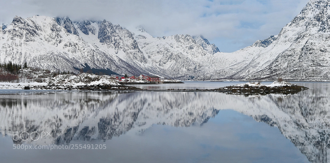 Nikon D5 sample photo. Lofoten photography