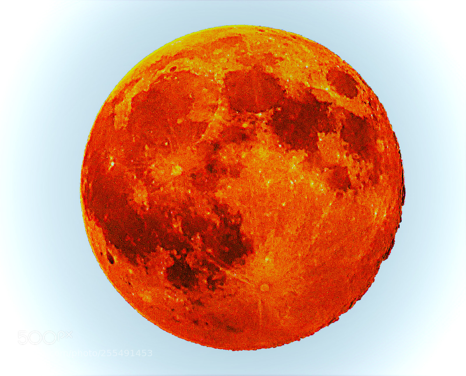 Canon PowerShot SX50 HS sample photo. Marcoffi'e rint' la luna photography
