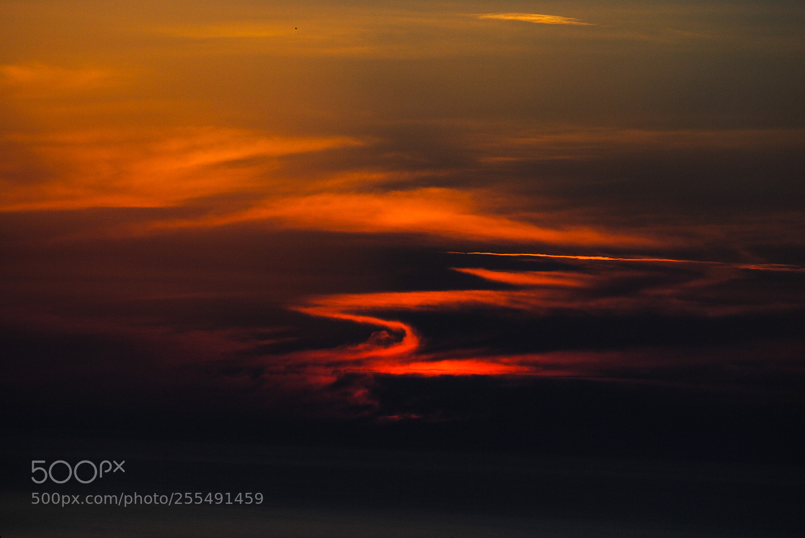 Nikon D3000 sample photo. Painted sunset photography