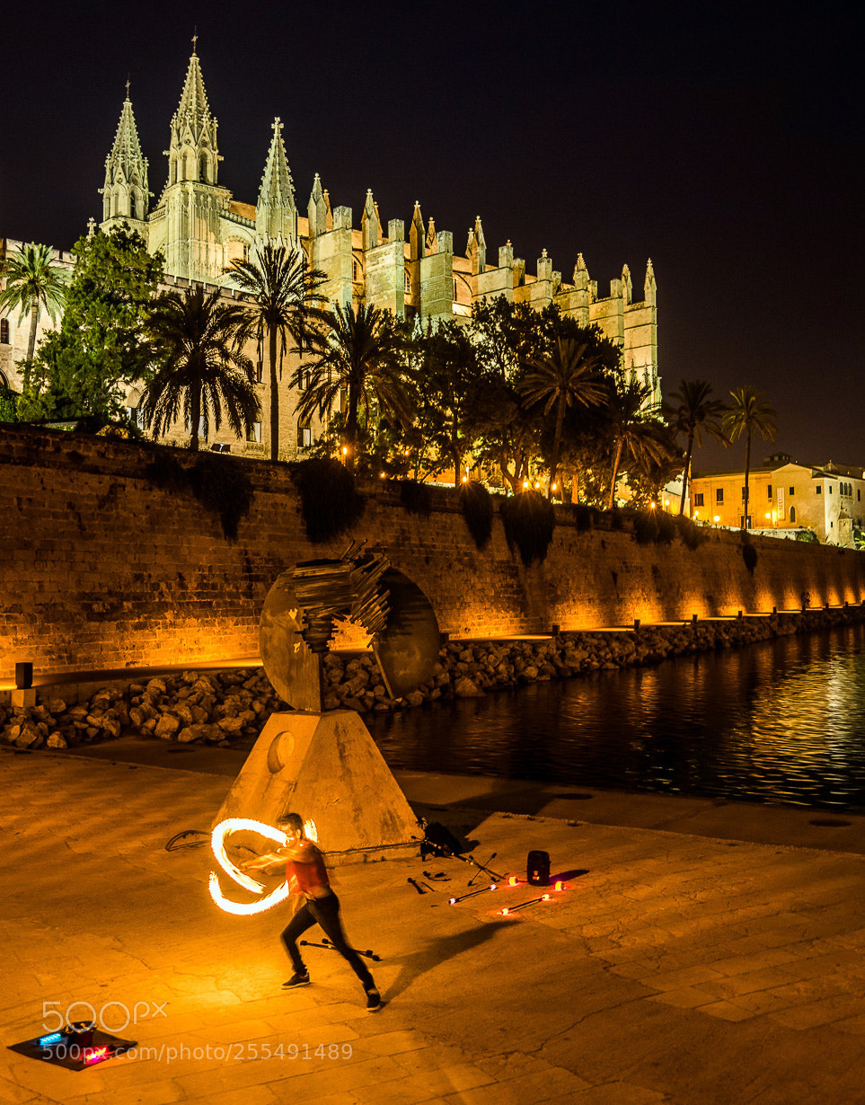 Sony a7R sample photo. La seu photography