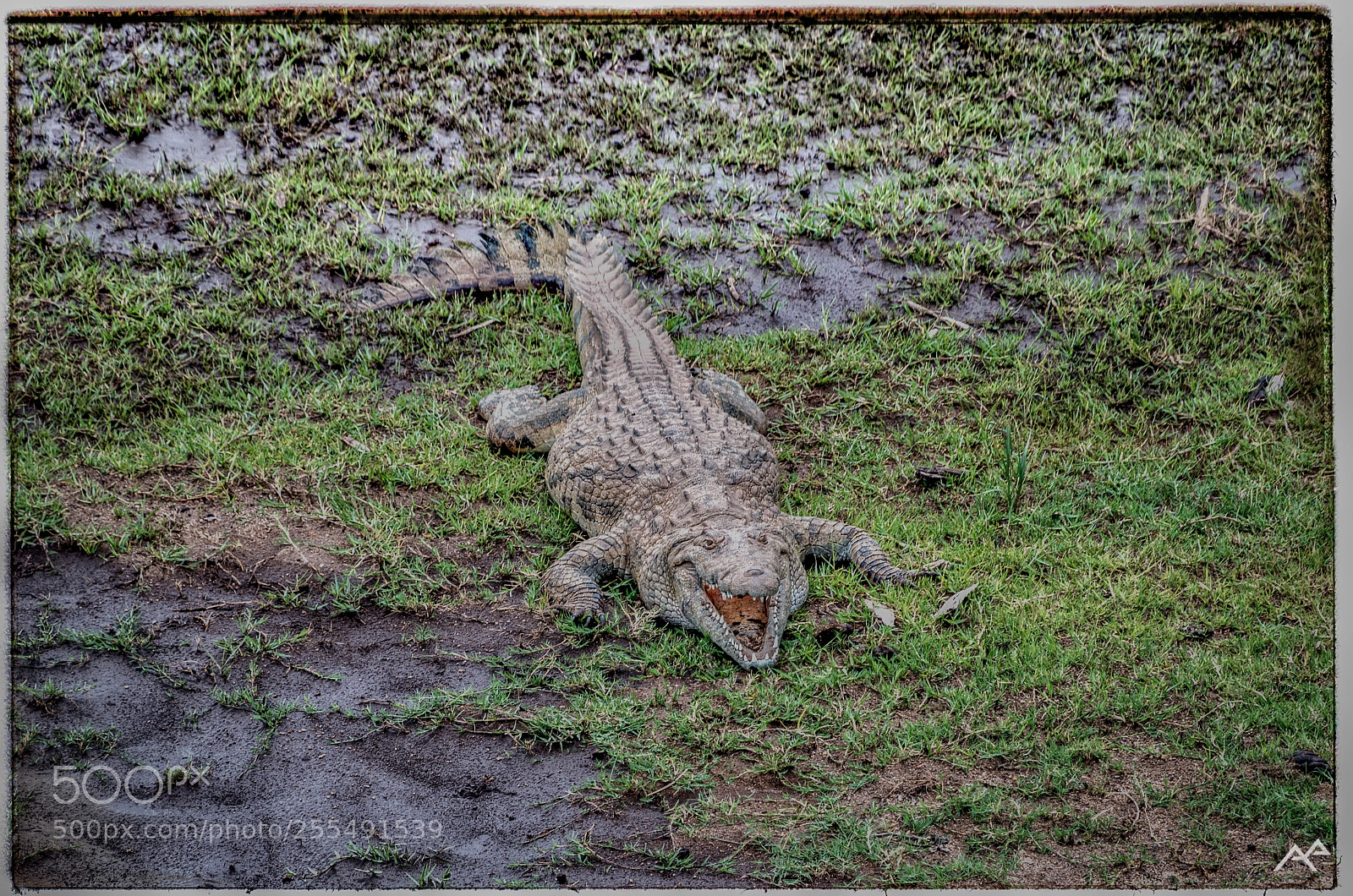Pentax K-50 sample photo. Hallloo photography