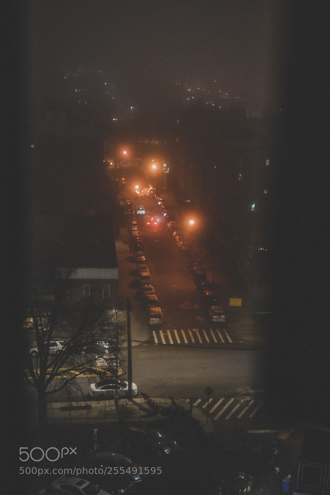 Nikon D5500 sample photo. The spirit of nyc photography