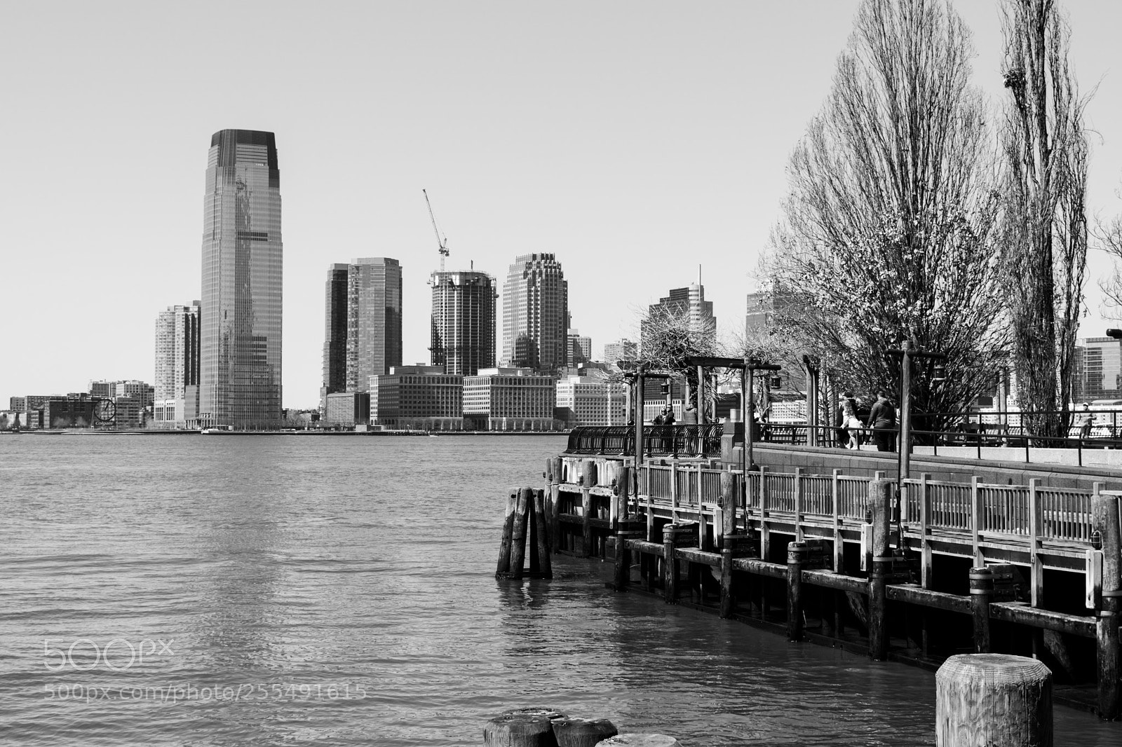 Nikon D5500 sample photo. The spirit of nyc photography