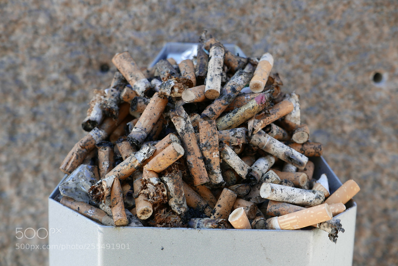 Panasonic Lumix DMC-LX100 sample photo. Without words photography