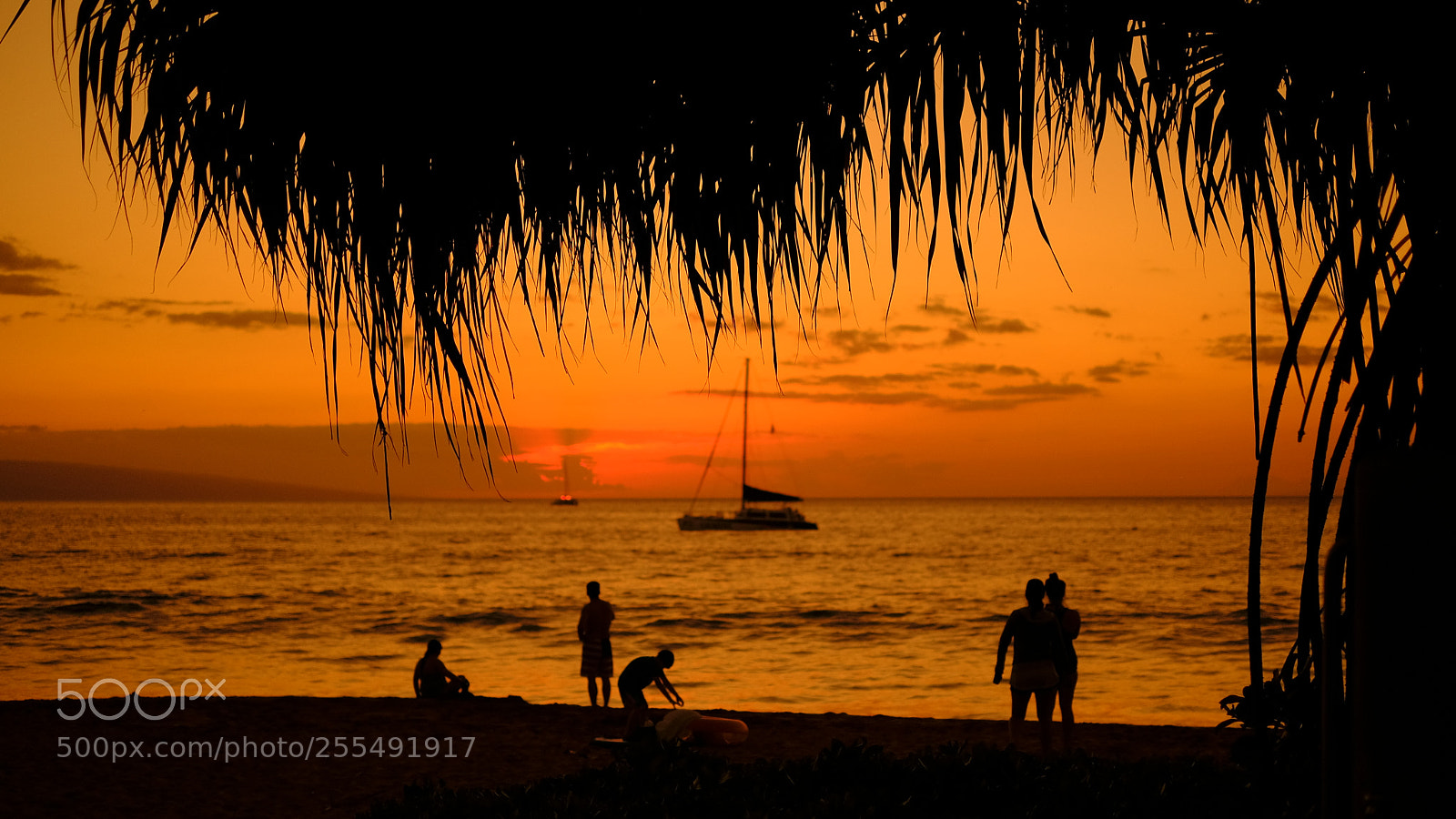Fujifilm X-T2 sample photo. Hawaiian dreams photography
