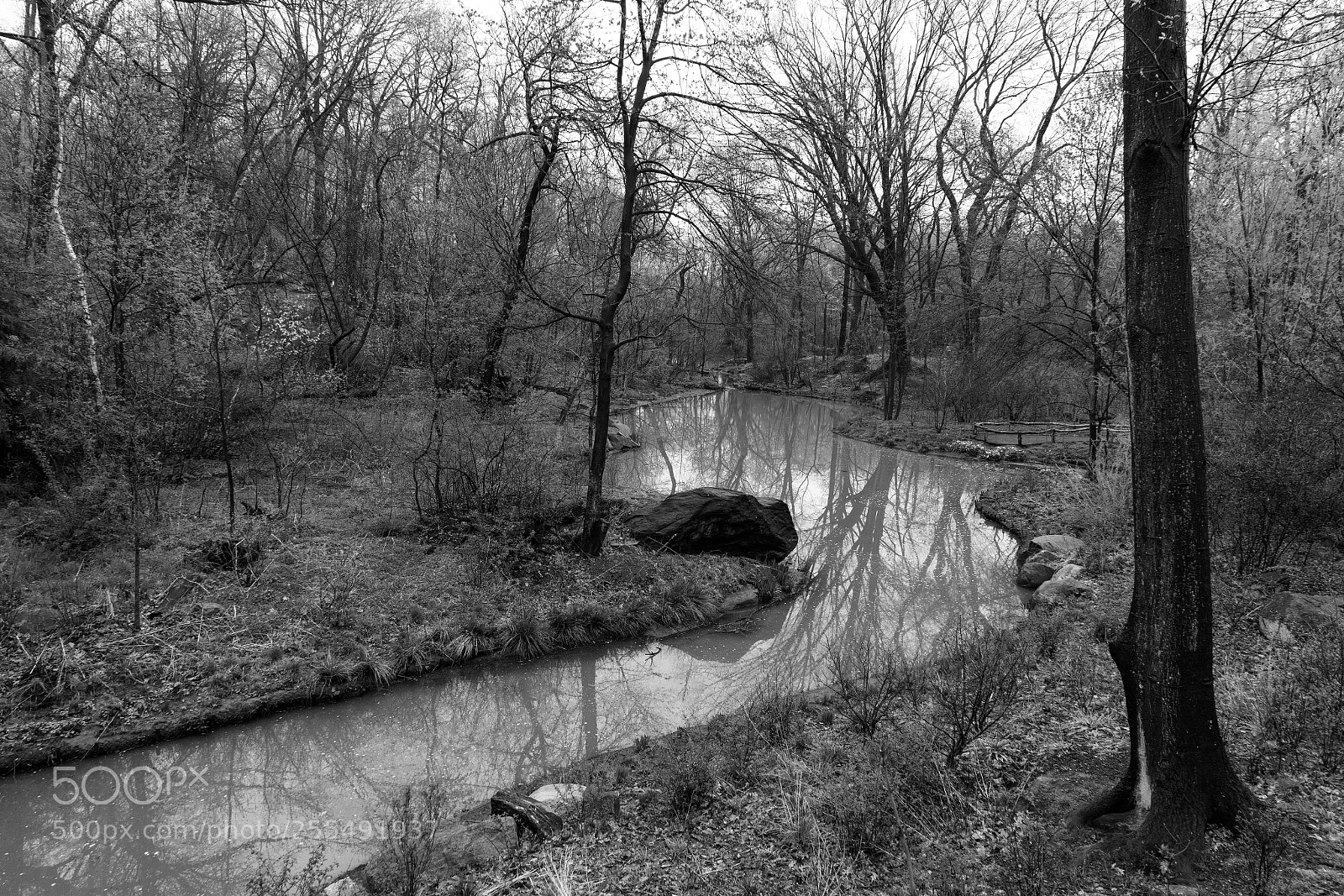 Sony a7R II sample photo. Central park ravine photography