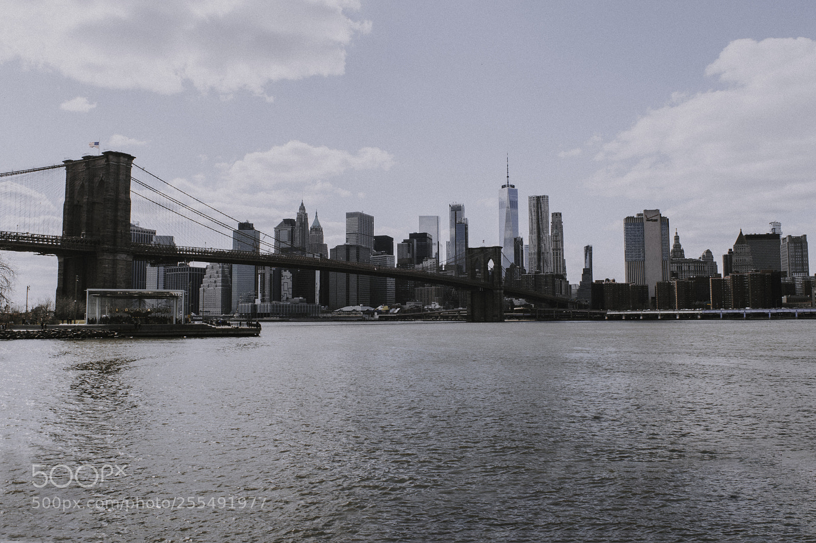 Nikon D5500 sample photo. Classic nyc view photography