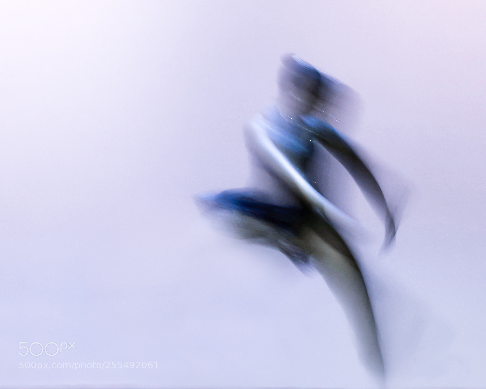 Nikon D3400 sample photo. Movement 3 photography