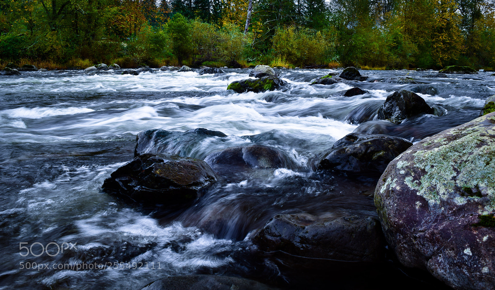 Nikon D5300 sample photo. Autumn torrent photography