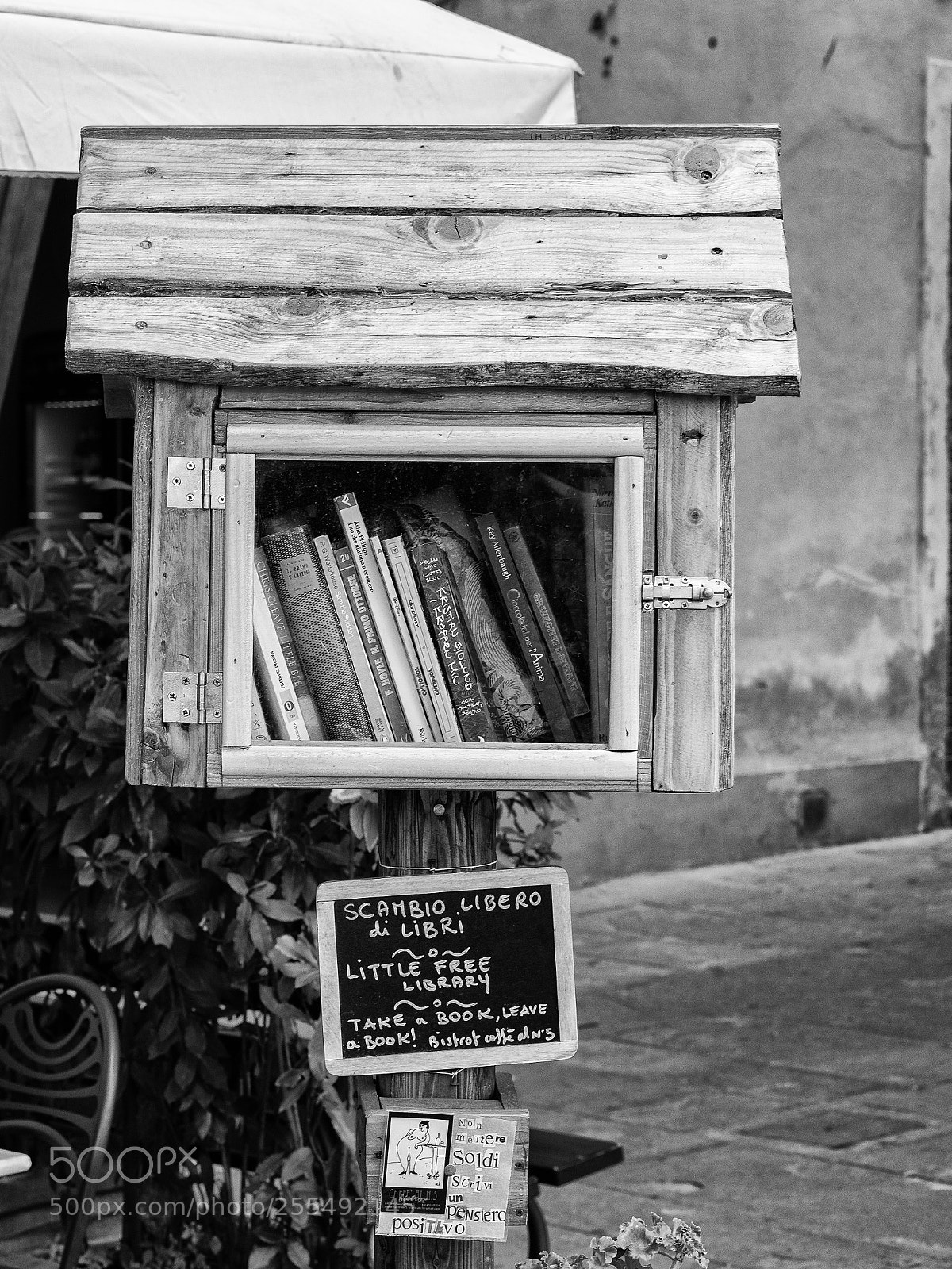 Olympus OM-D E-M5 sample photo. Take a book, leave photography