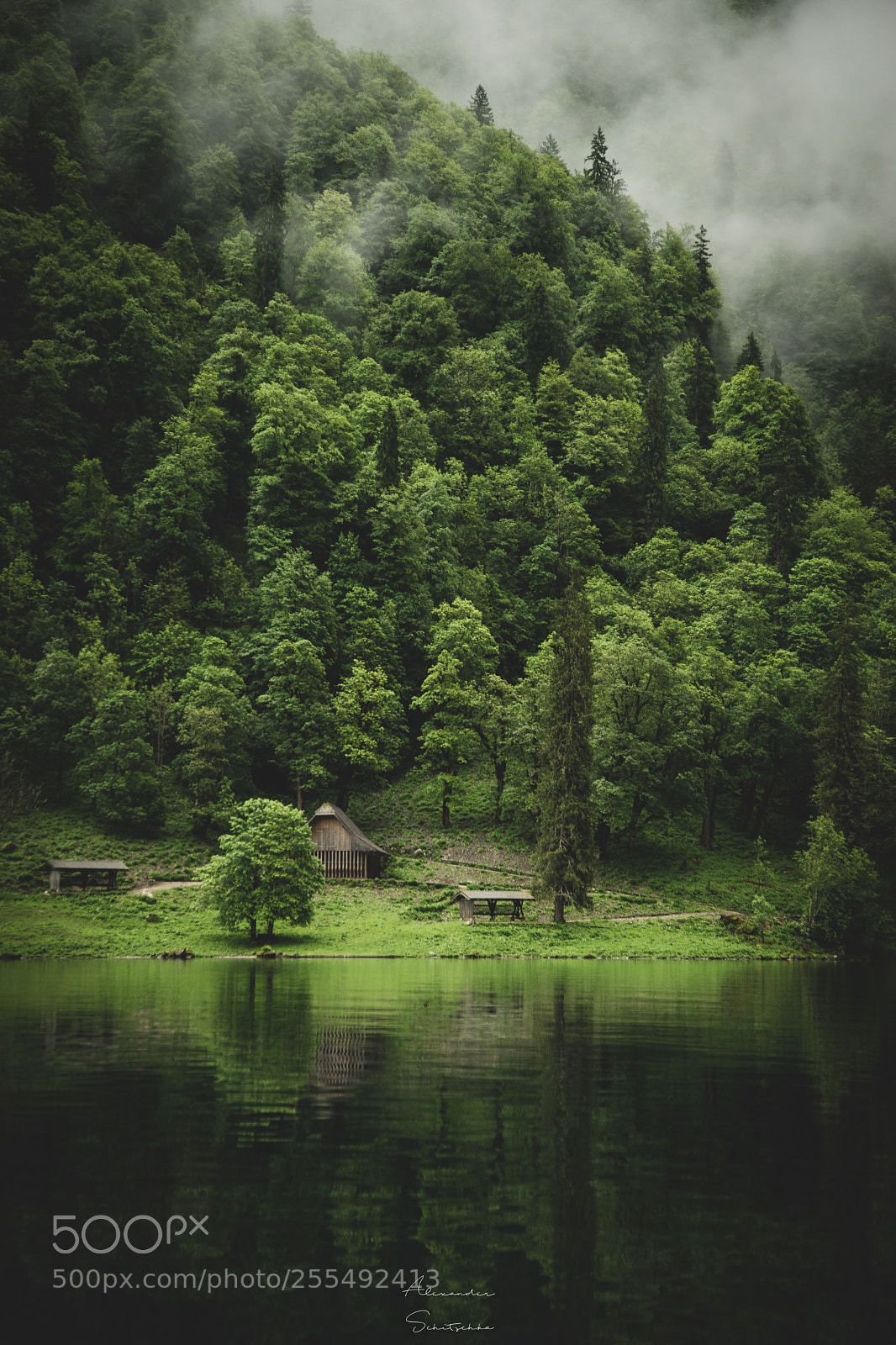 Sony a7 sample photo. Moody morning photography